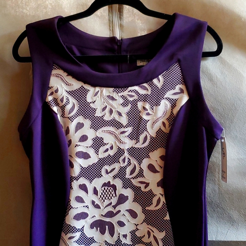 Shelby and Palmer size 12 dress.
